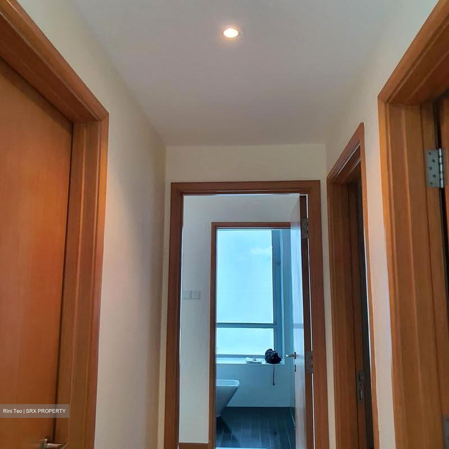 Park Infinia At Wee Nam (D11), Condominium #617008891